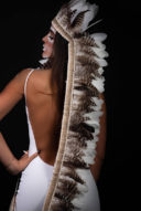 כתר אינדיאני לבן