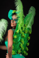 כנפיים- טינקרבל