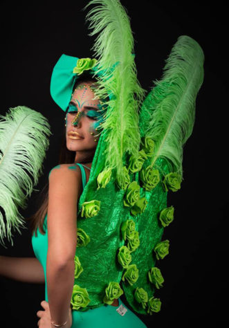 כנפיים- טינקרבל