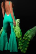 כנפיים- טינקרבל