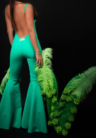 כנפיים- טינקרבל