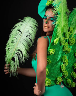 נוצת יד- טינקרבל