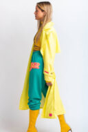 פנס טיילור ירוק